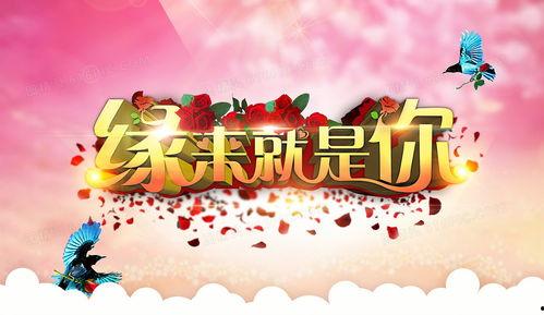 娱乐爆料节目背景图,图解明星幕后故事