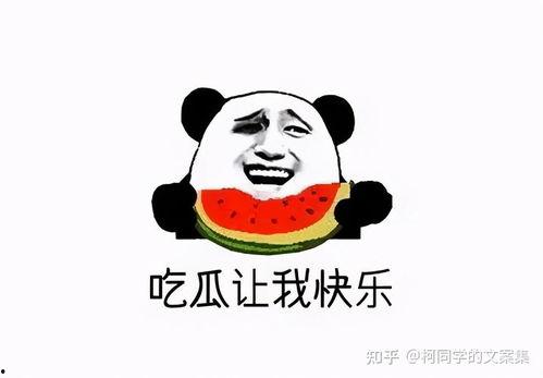 吃瓜网红文案短句搞笑,网红吃瓜文案，笑料横生，欢乐无限